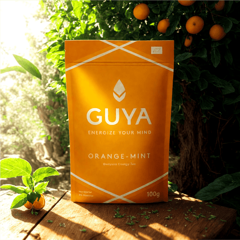 Guayusa Tee - Orange Mint loser Tee 100g - Teekränzchen