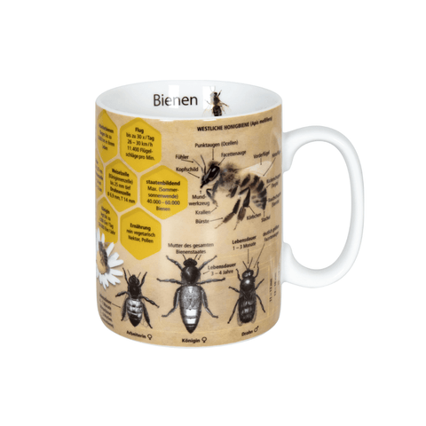 Wissensbecher "Bienen" - Teekränzchen