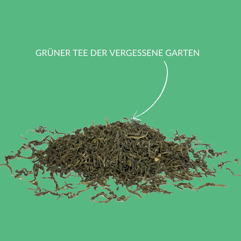 Grüner Tee "Der vergessene Garten" - Teekränzchen