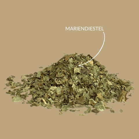 Kräutertee Mariendiestel - Teekränzchen