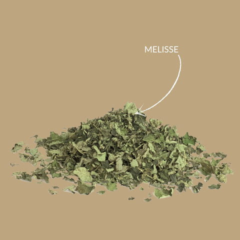 Kräutertee Melisse - Teekränzchen