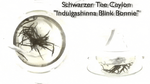 Schwarzer Tee Ceylon "Indulgashinna Blink Bonnie" - Teekränzchen