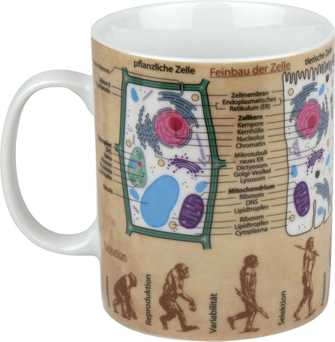 Wissensbecher "BIOLOGIE" - Teekränzchen