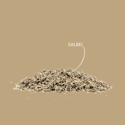 Kräutertee „Salbei" - Teekränzchen