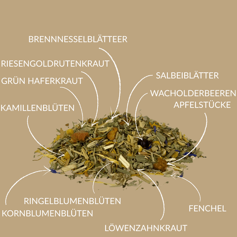 krautertee lebensfreude
