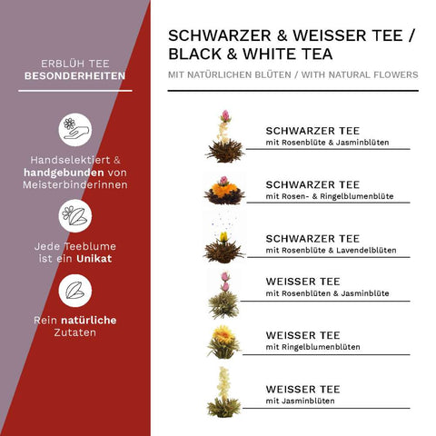 6er ErblühTee Schwarztee-Weißtee Set in Magnetbox - Teekränzchen