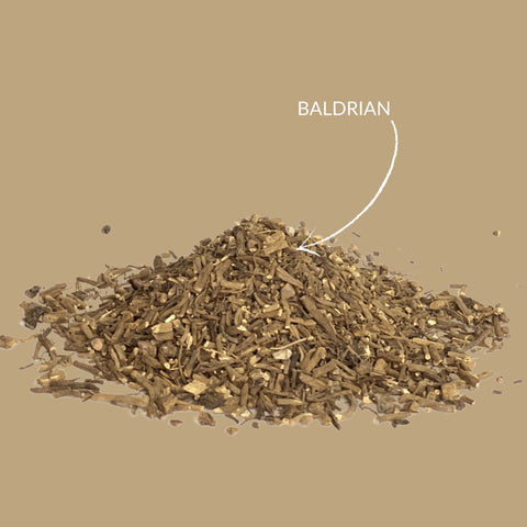Kräutertee „Baldrian“ - Teekränzchen