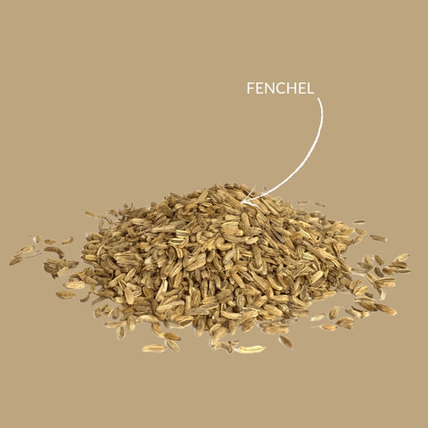 Kräutertee "Fenchel" - Teekränzchen