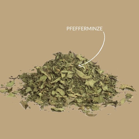Kräutertee „Pfefferminze geschnitten“ - Teekränzchen
