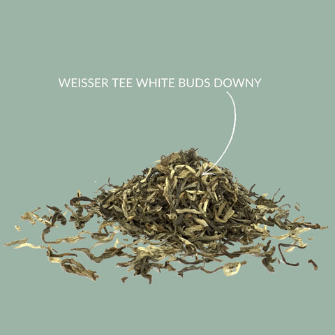 Weißer Tee " Guangxi White Buds" - Teekränzchen